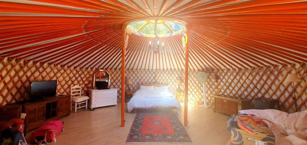 Eldorado Yurt Tente de luxe Algarrobo